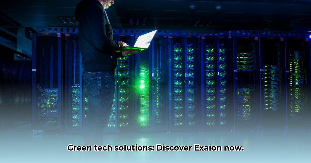 exaion